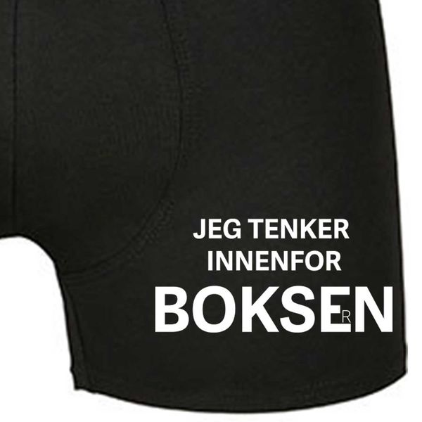 Hovedbilde Jeg tenker innenfor Boksern